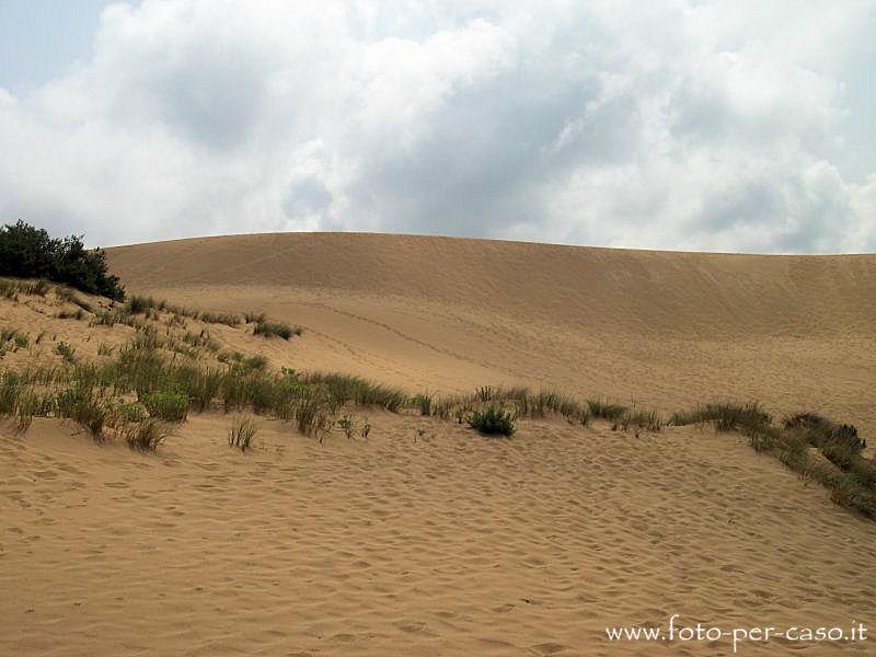 Galleria foto delle dune della Costa Verde