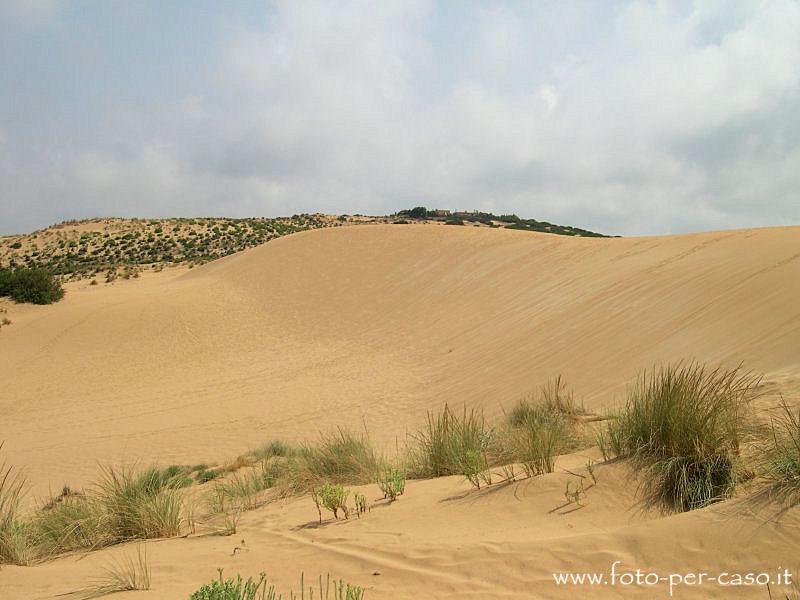 Le Dune - Ingrandisci la foto