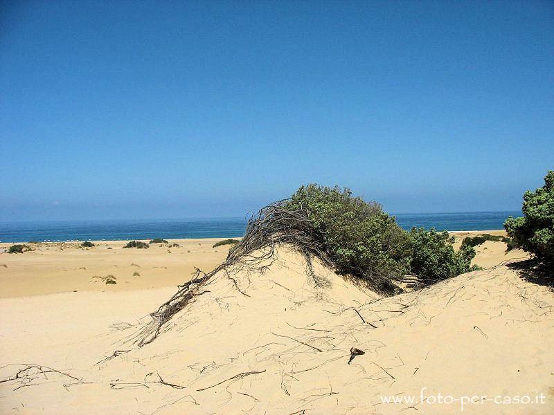 Le Dune - Ingrandisci la foto