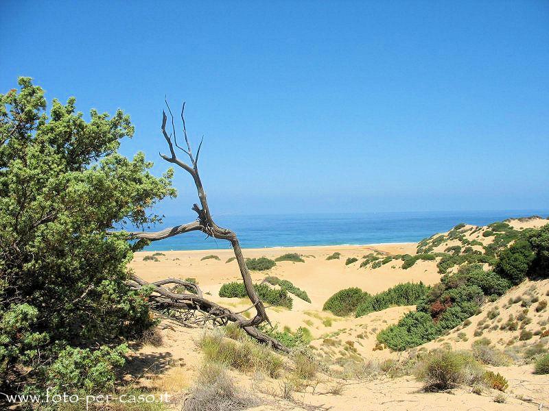 Le Dune - Ingrandisci la foto