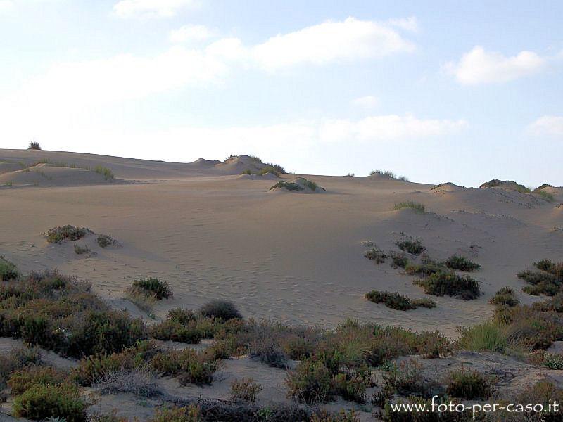 Le Dune - Ingrandisci la foto