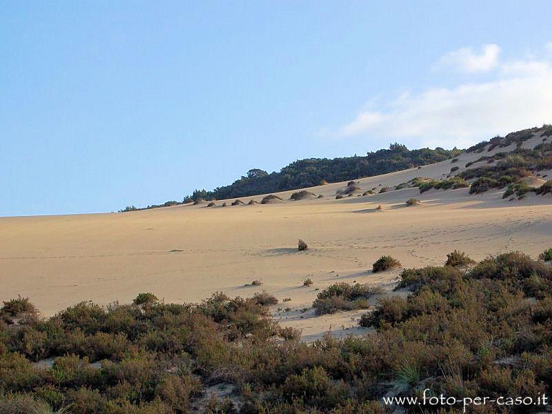 Le Dune - Ingrandisci la foto