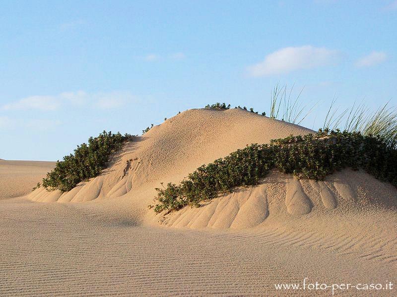 Le Dune - Ingrandisci la foto