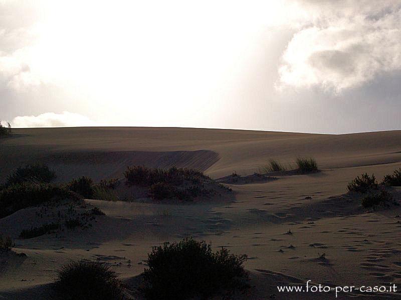 Le Dune - Ingrandisci la foto