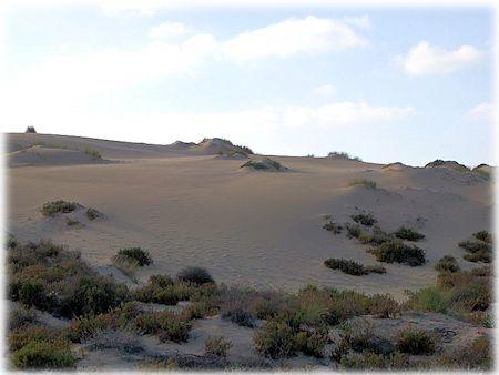 Stregati dalle dune .....