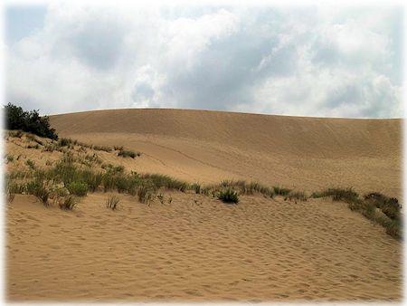 Le dune di Pistis. Ingrandisci l'immagine e accedi alla galleria delle foto.