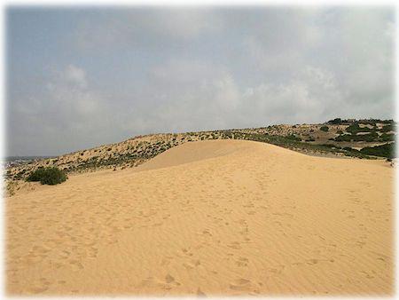 Le dune di Torre dei Corsari. Ingrandisci l'immagine e accedi alla galleria delle foto.