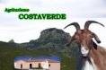 Visita il web-site dell'agriturismo Costa Verde