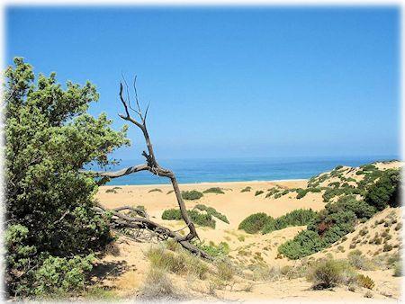 Le dune di Piscinas. Ingrandisci l'immagine e accedi alla galleria delle foto.